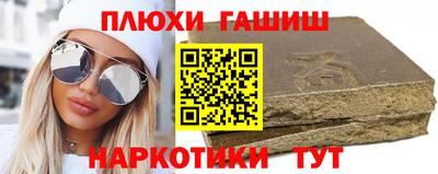 спиды Гай