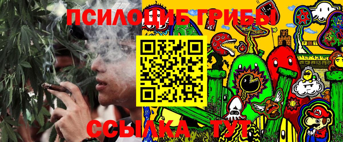 Салехард  закладки  Вход с VPN  Псилоцибиновые грибы мухоморы 