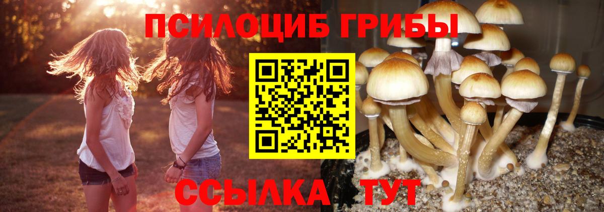 Галлюциногенные грибы Magic Shrooms Салехард